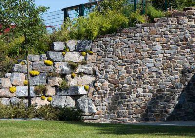 Bildung, Freizeit, Gesundheit - Wittekindshof, Bad Oeynhausen