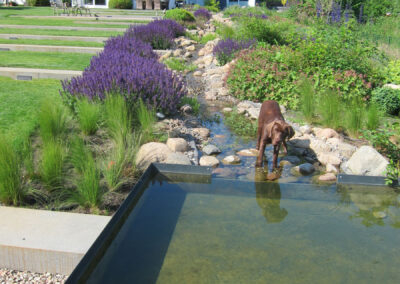 Hausgärten Villengarten an der Ostsee