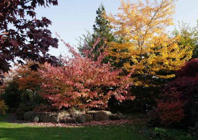 Hausgärten Indian Summer