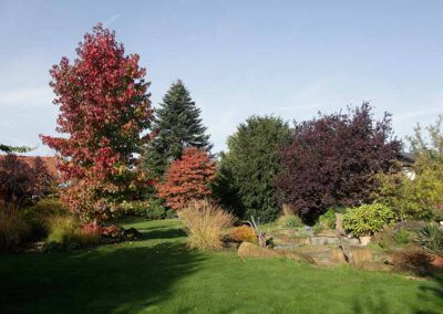 Hausgärten Indian Summer