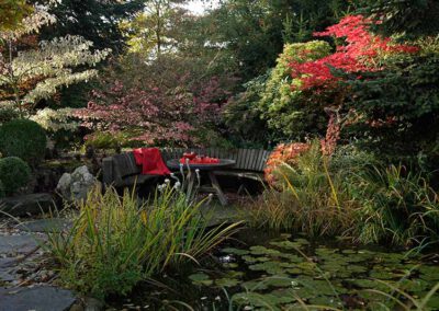 Hausgärten Indian Summer