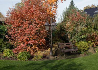 Hausgärten Indian Summer
