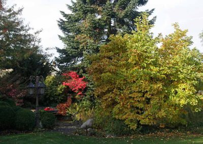 Hausgärten Indian Summer