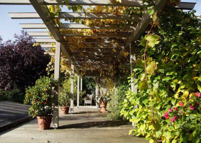 Hausgärten Indian Summer