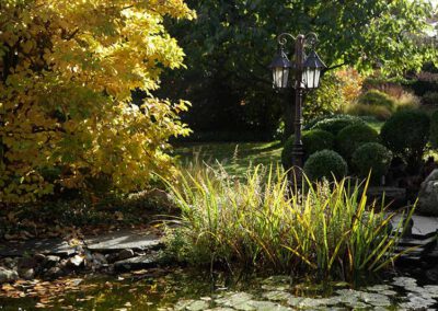 Hausgärten Indian Summer