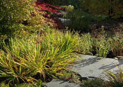 Hausgärten Indian Summer