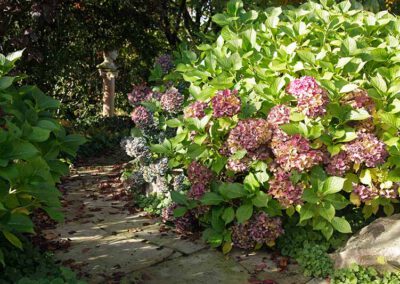 Hausgärten Indian Summer