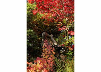 Hausgärten Indian Summer