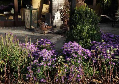 Hausgärten Indian Summer