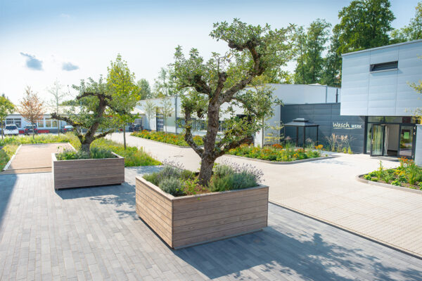 IG_Apfelbaeume_Philipp-Hebold-Fotos